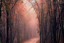 开云APP-巴黎圣日耳曼力克国际米兰，Clid打破历史纪录焦点之战全球总决赛，技惊四座