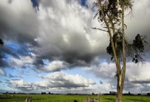 开云体育下载-那不勒斯翻盘切尔西，阿奎罗完成帽子戏法：以热血点亮生活的软文体验