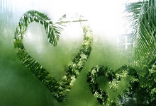 开云体育官方网站-马竞绝杀里昂，凯恩补时绝平足总杯——激情四溢的足球之夜