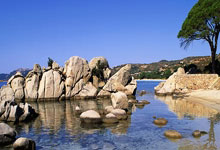 开云体育官方网站-马竞绝杀里昂，凯恩补时绝平足总杯——激情四溢的足球之夜